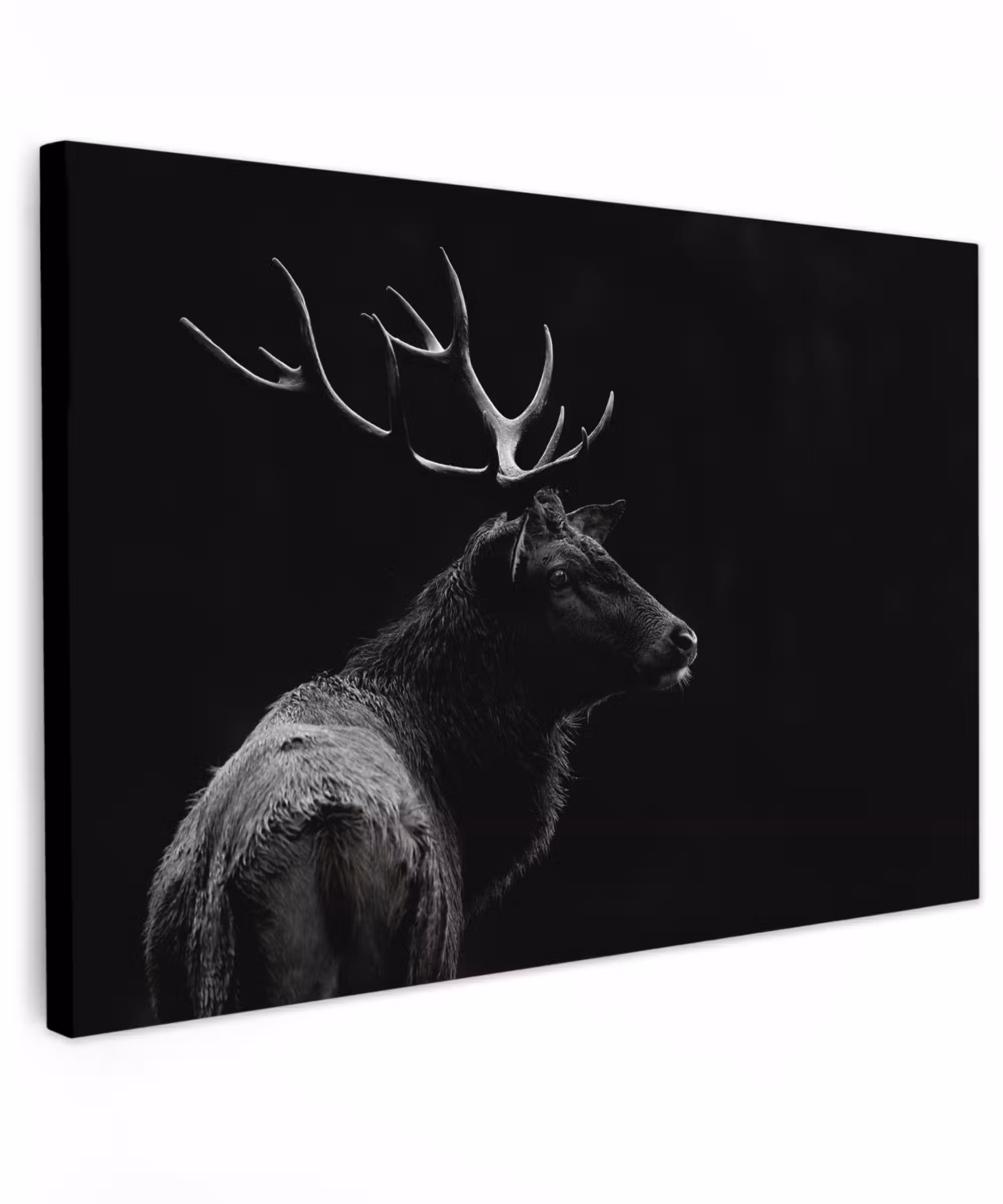 Canvas schilderij - Hert - Zwart - Portret - Gewei - Dieren