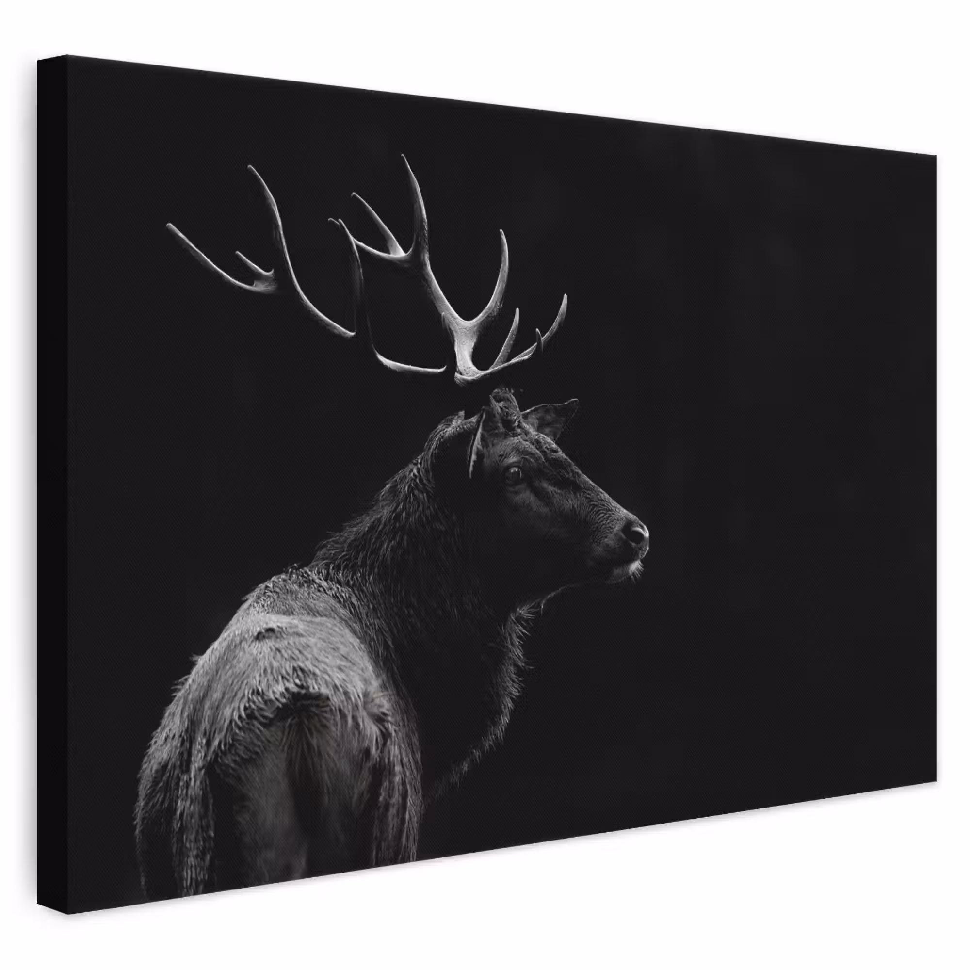 Canvas schilderij - Hert - Zwart - Portret - Gewei - Dieren