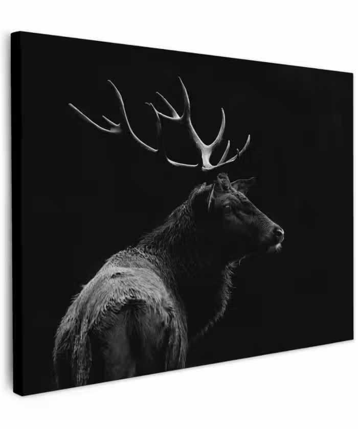 Canvas schilderij - Hert - Zwart - Portret - Gewei - Dieren