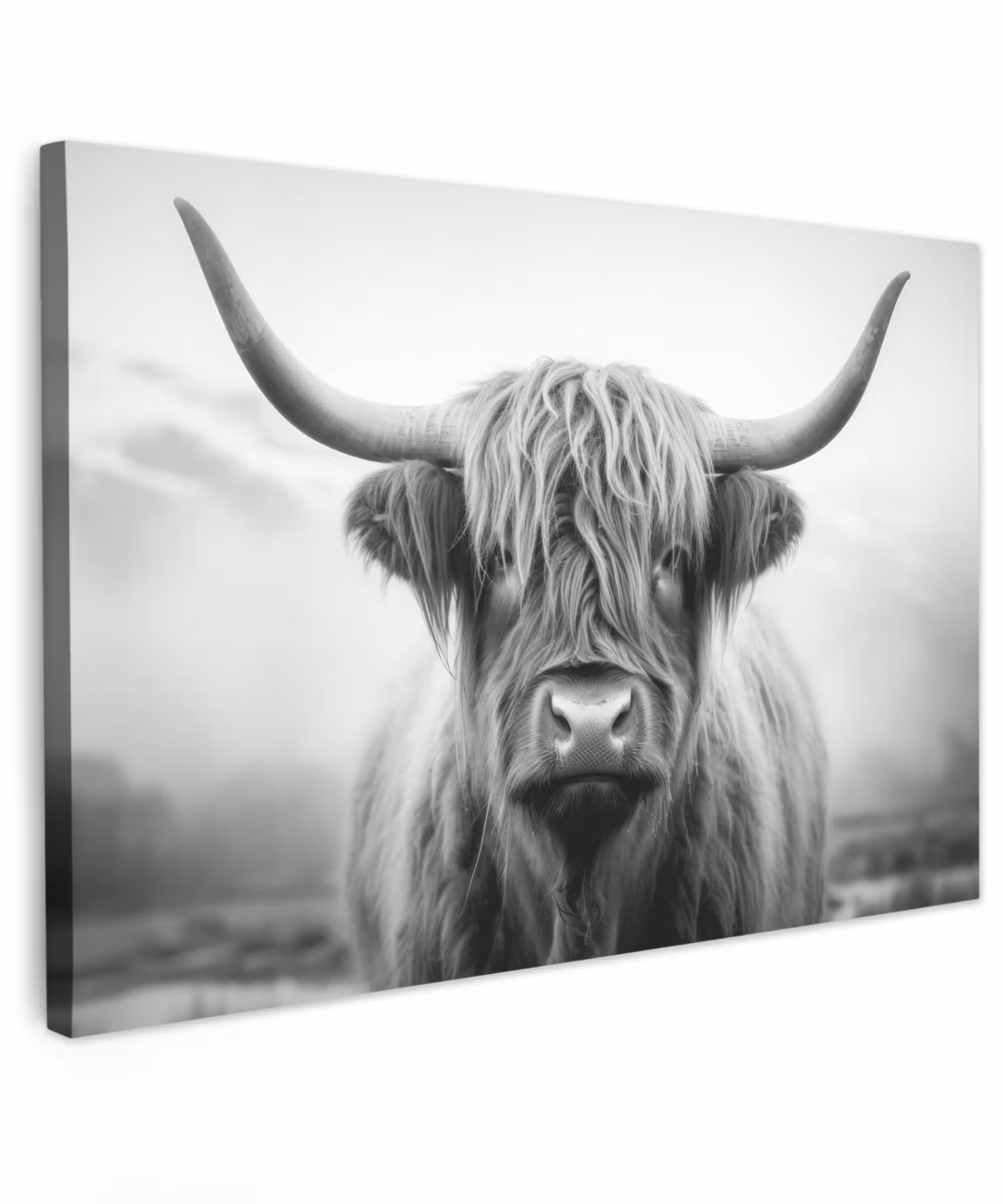Canvas schilderij - Schotse hooglander - Mist - Zwart - Wit