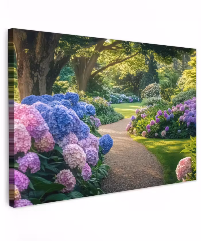 Canvas schilderij - Hortensia- Park - Pad