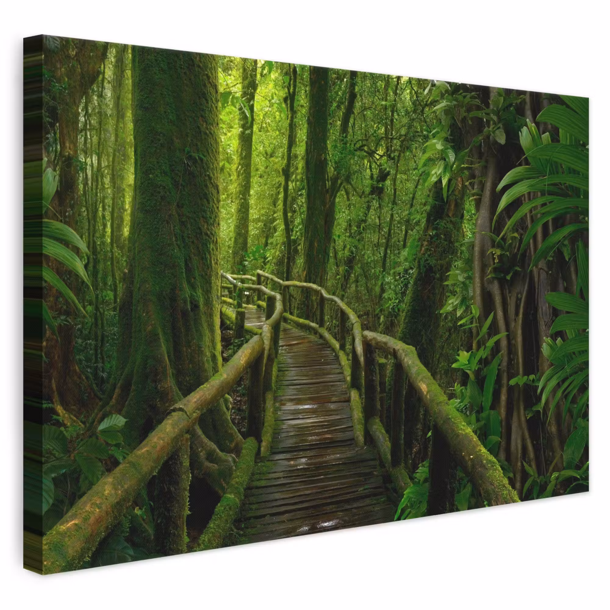 Canvas schilderij - Jungle - Brug - Mos - Natuur - Tropisch