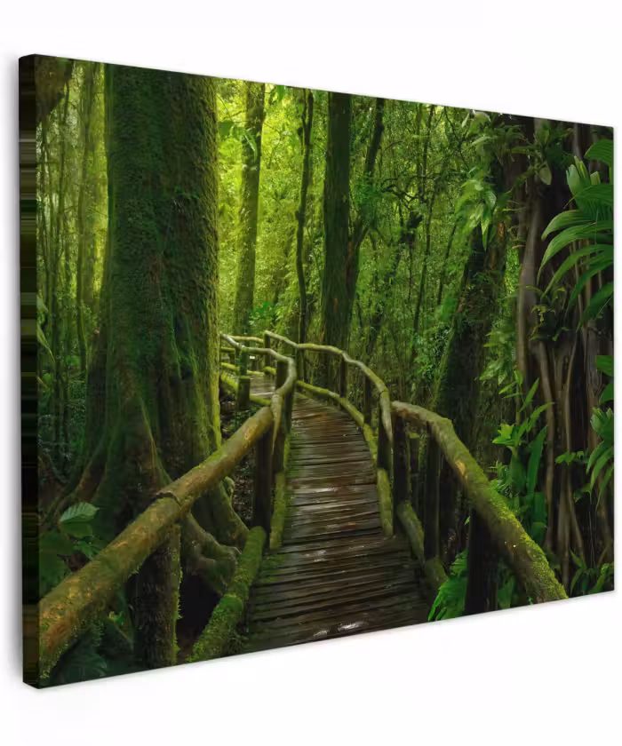 Canvas schilderij - Jungle - Brug - Mos - Natuur - Tropisch