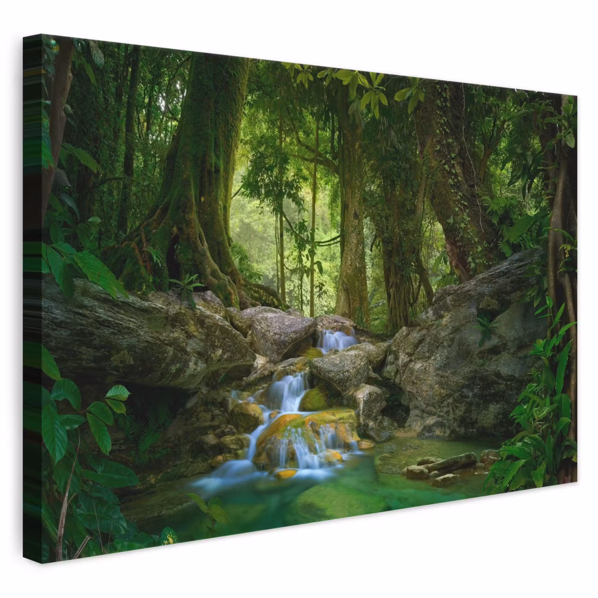 Canvas schilderij - Jungle - Stenen - Water - Natuur - Planten