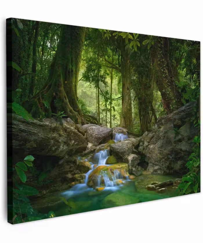 Canvas schilderij - Jungle - Stenen - Water - Natuur - Planten