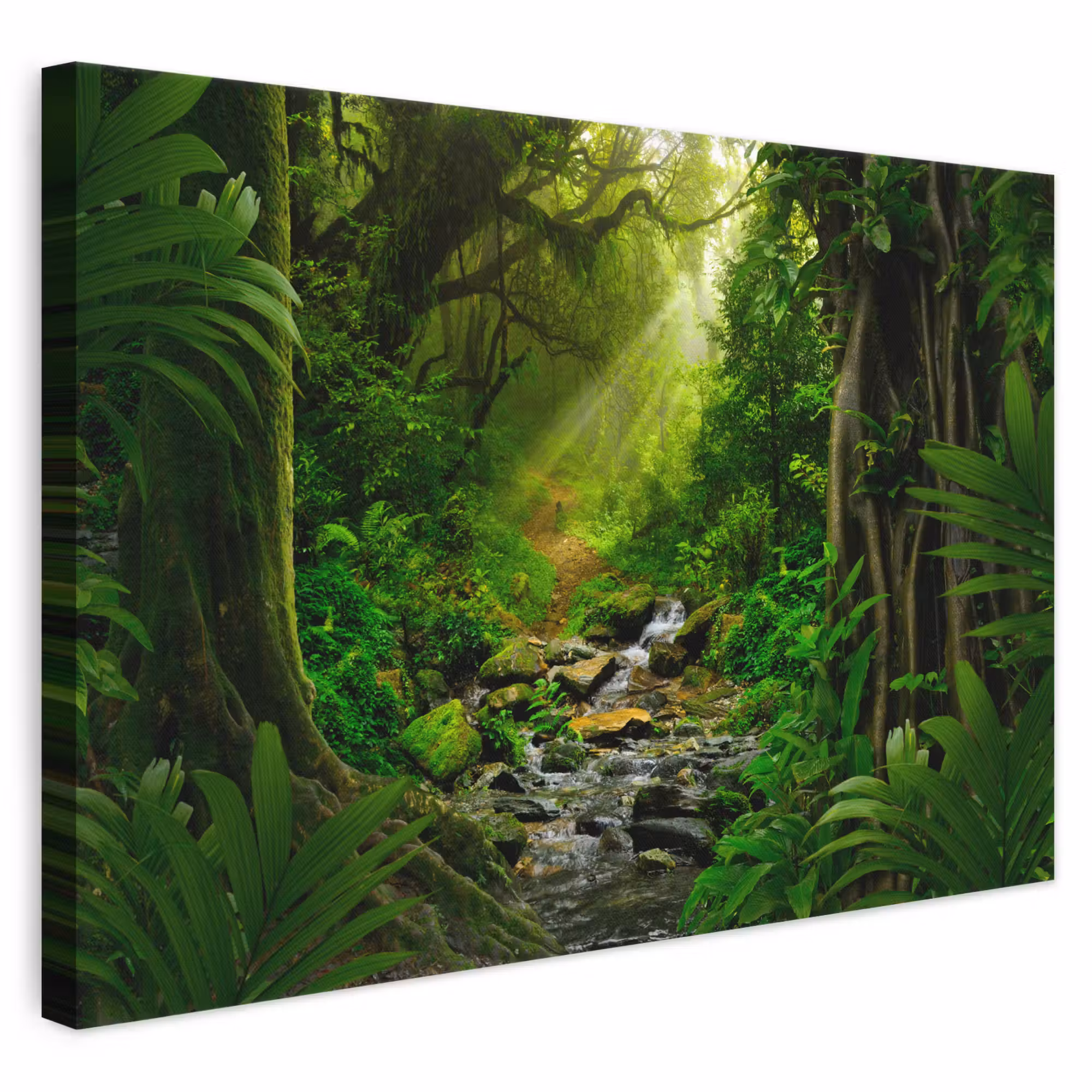 Canvas schilderij - Jungle - Water - Bladeren - Zon - Natuur