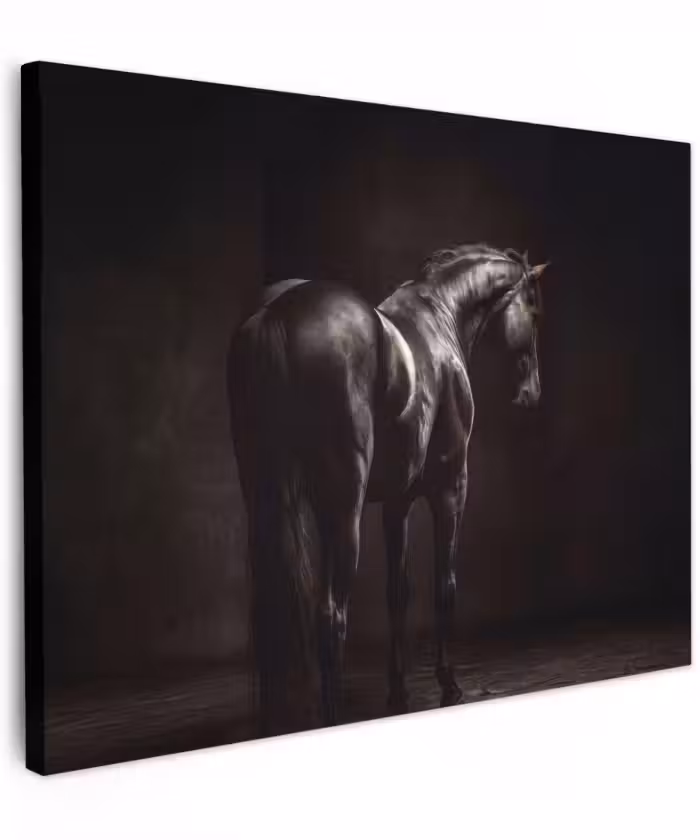 Canvas schilderij - Krachtig - Paard - Donker