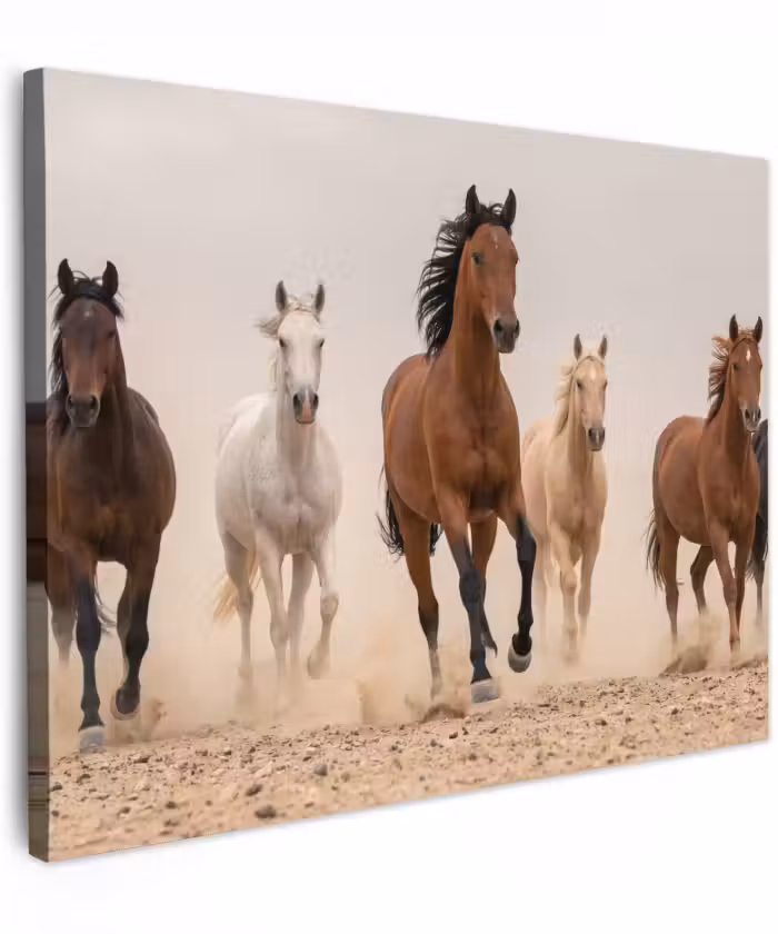Canvas schilderij - Kudde paarden - Stofwolk - Bruin - Zwart