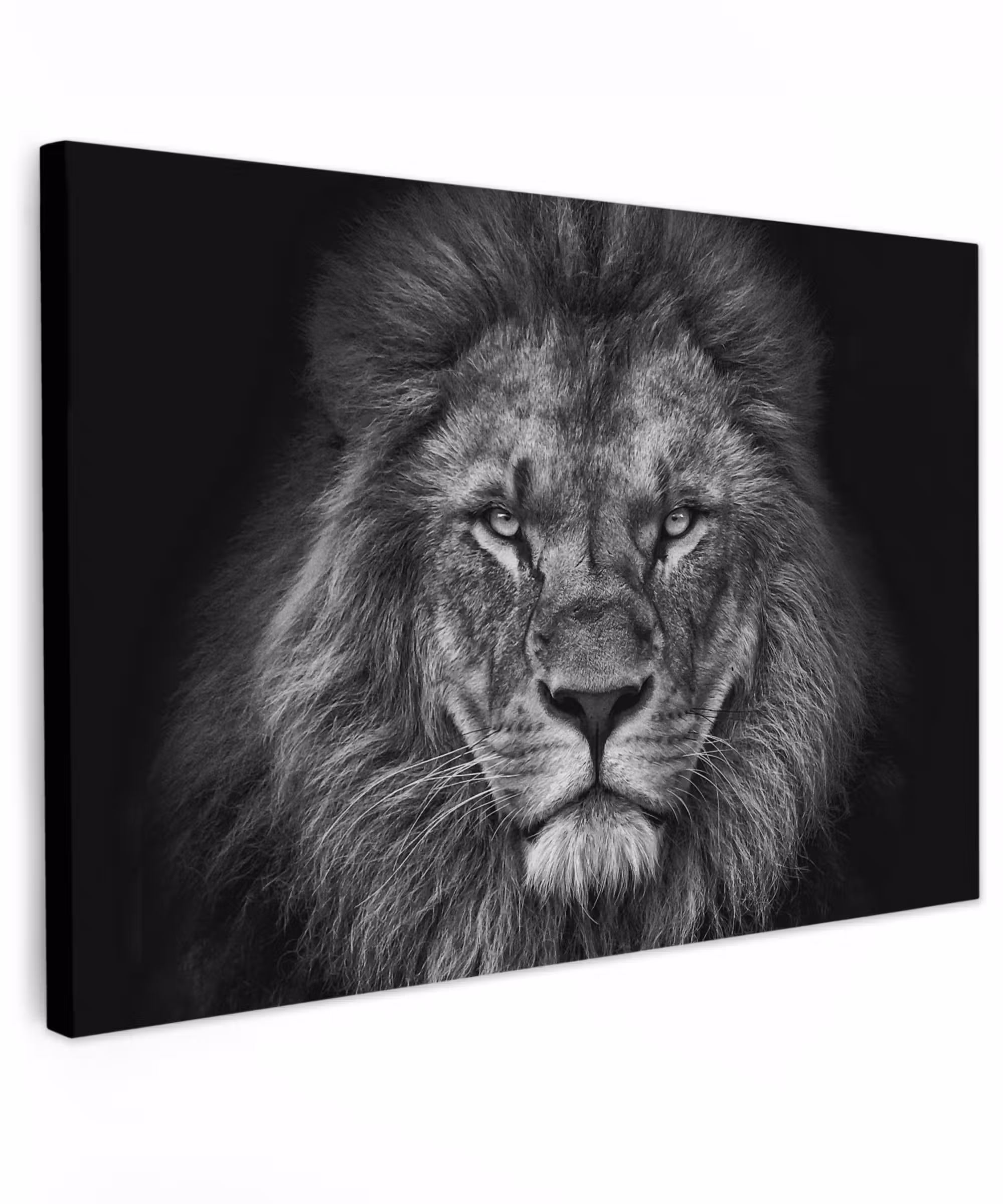 Canvas schilderij - Leeuw - Dieren - Zwart - Wit
