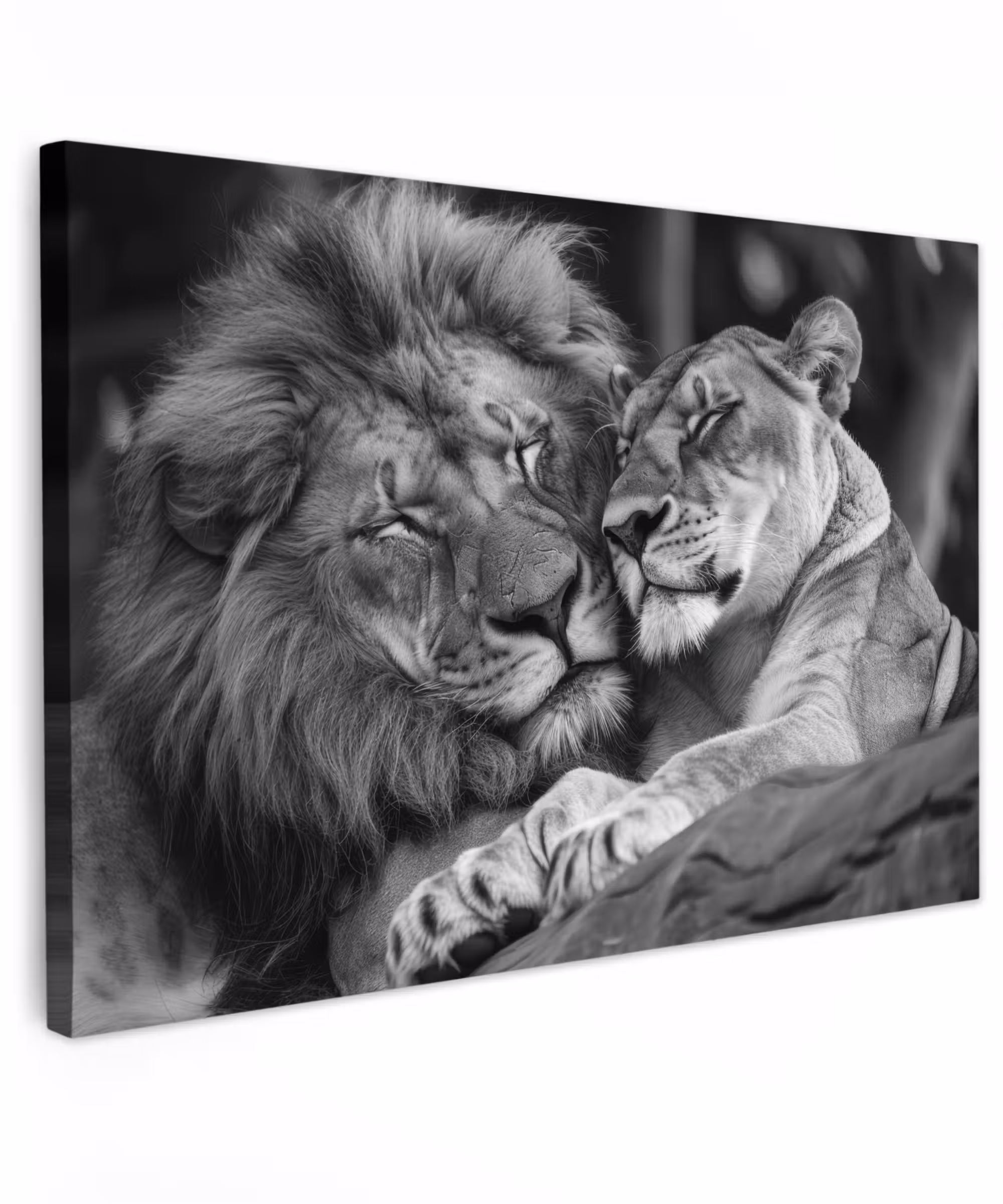 Canvas schilderij - Leeuwen - Dieren - Zwart - Wit - Leeuw