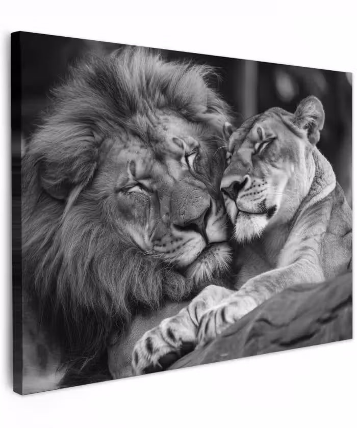 Canvas schilderij - Leeuwen - Dieren - Zwart - Wit - Leeuw