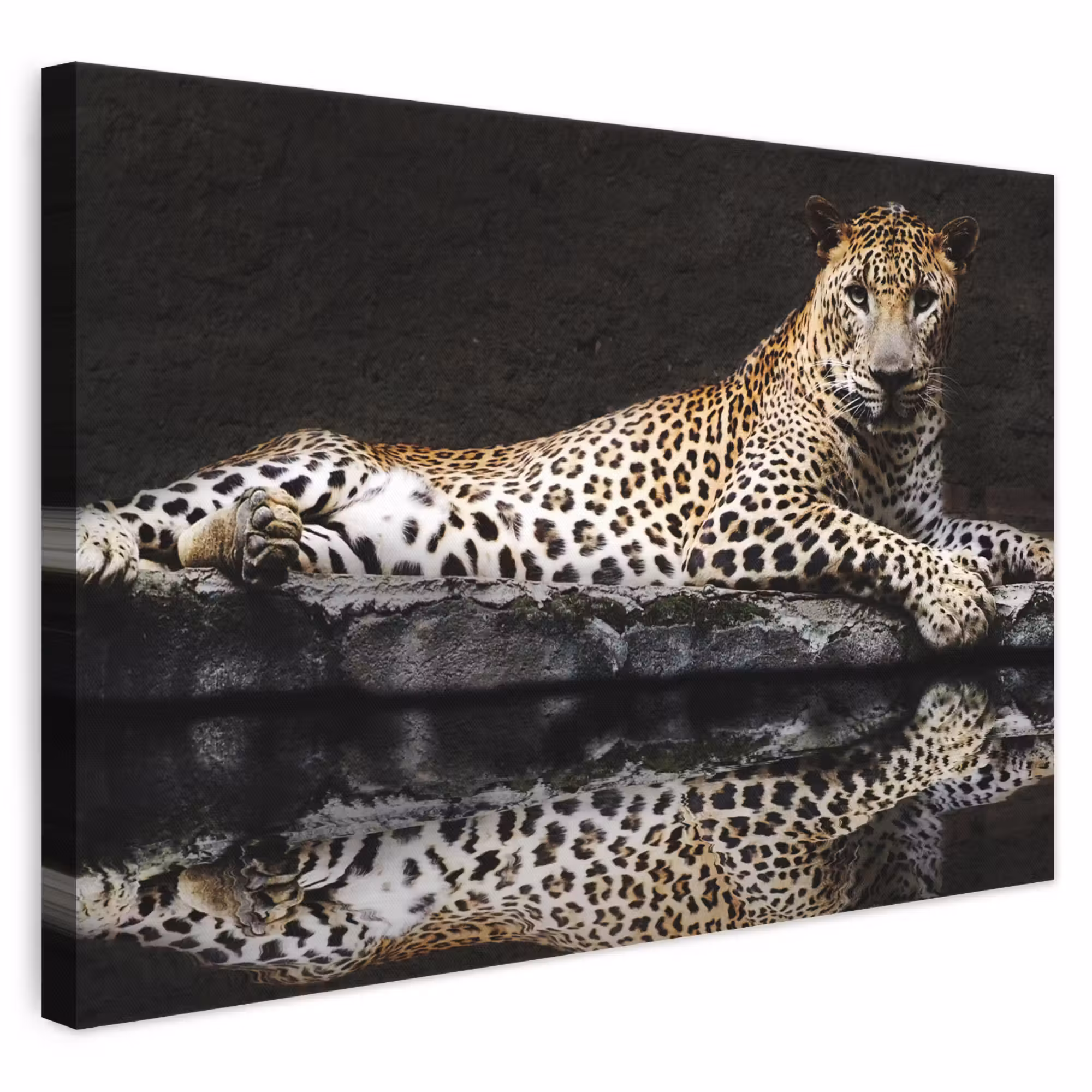 Canvas schilderij - Luipaard - Water - Bos