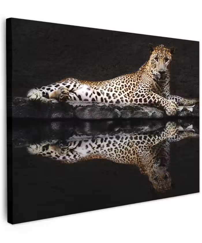 Canvas schilderij - Luipaard - Water - Bos