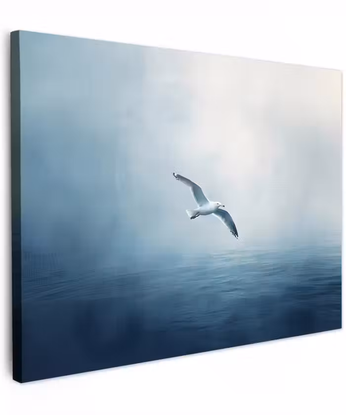 Canvas schilderij - Meeuw - Wit - Zee - Mistig