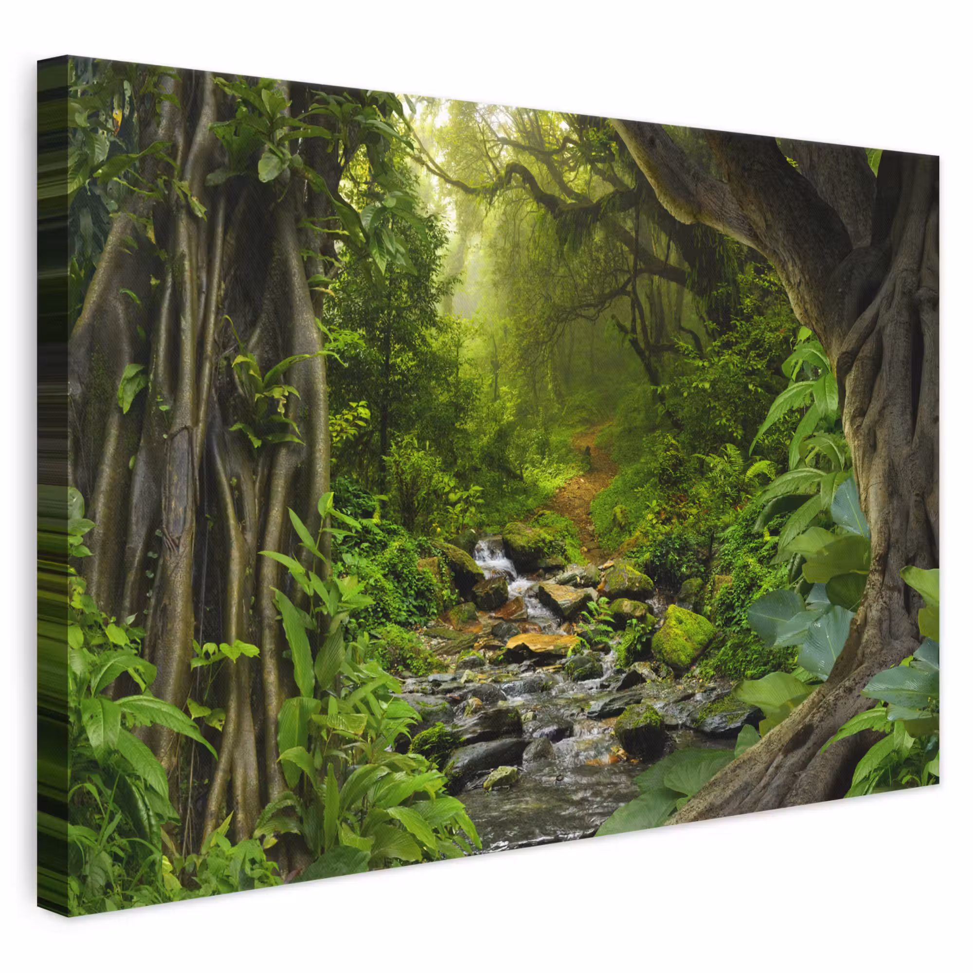 Canvas schilderij - Natuur - Water - Jungle - Bos - Tropisch