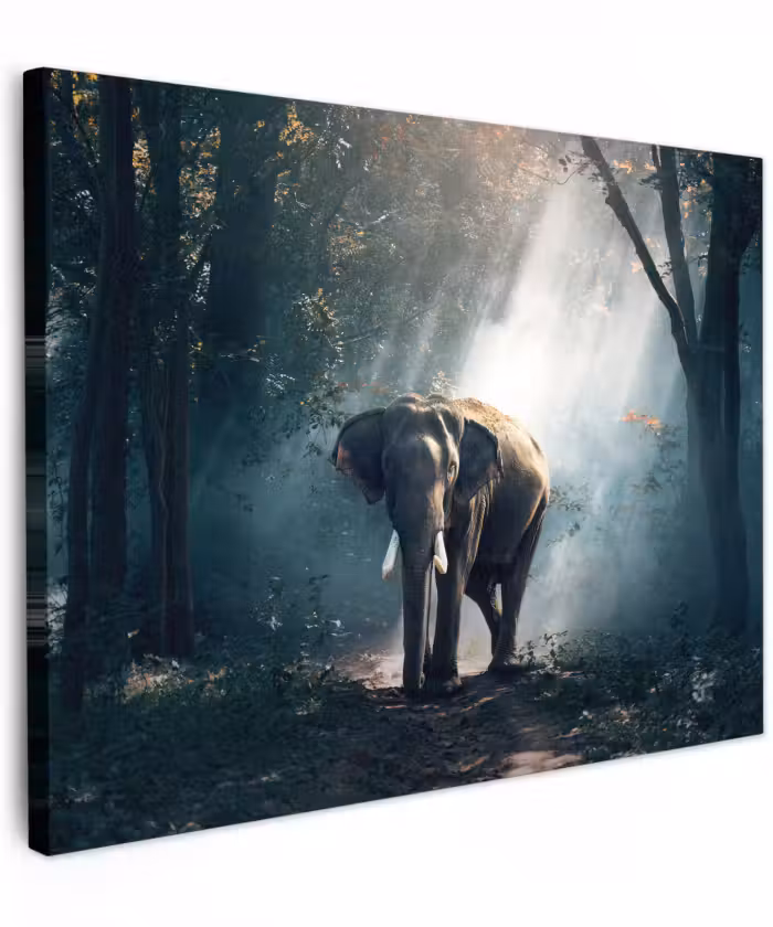 Canvas schilderij - Olifant - Dieren - Licht - Bos - Natuur - Wilde dieren