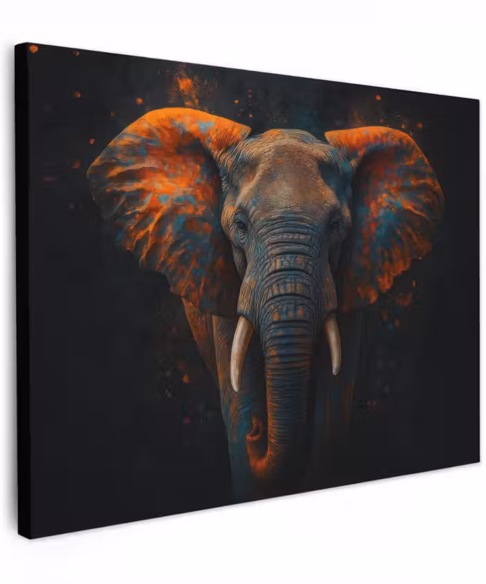 Canvas schilderij - Olifant - Oranje - Oren