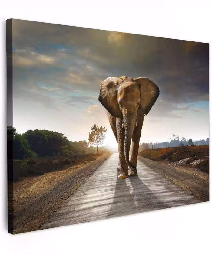Canvas schilderij - Olifant - Weg - Dieren - Zonsondergang - Landschap