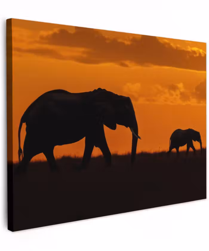 Canvas schilderij - Olifanten - Savanne - Zonsondergang