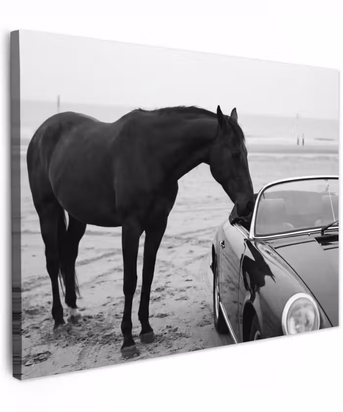 Canvas schilderij - Paard - Auto - Zwart - Wit