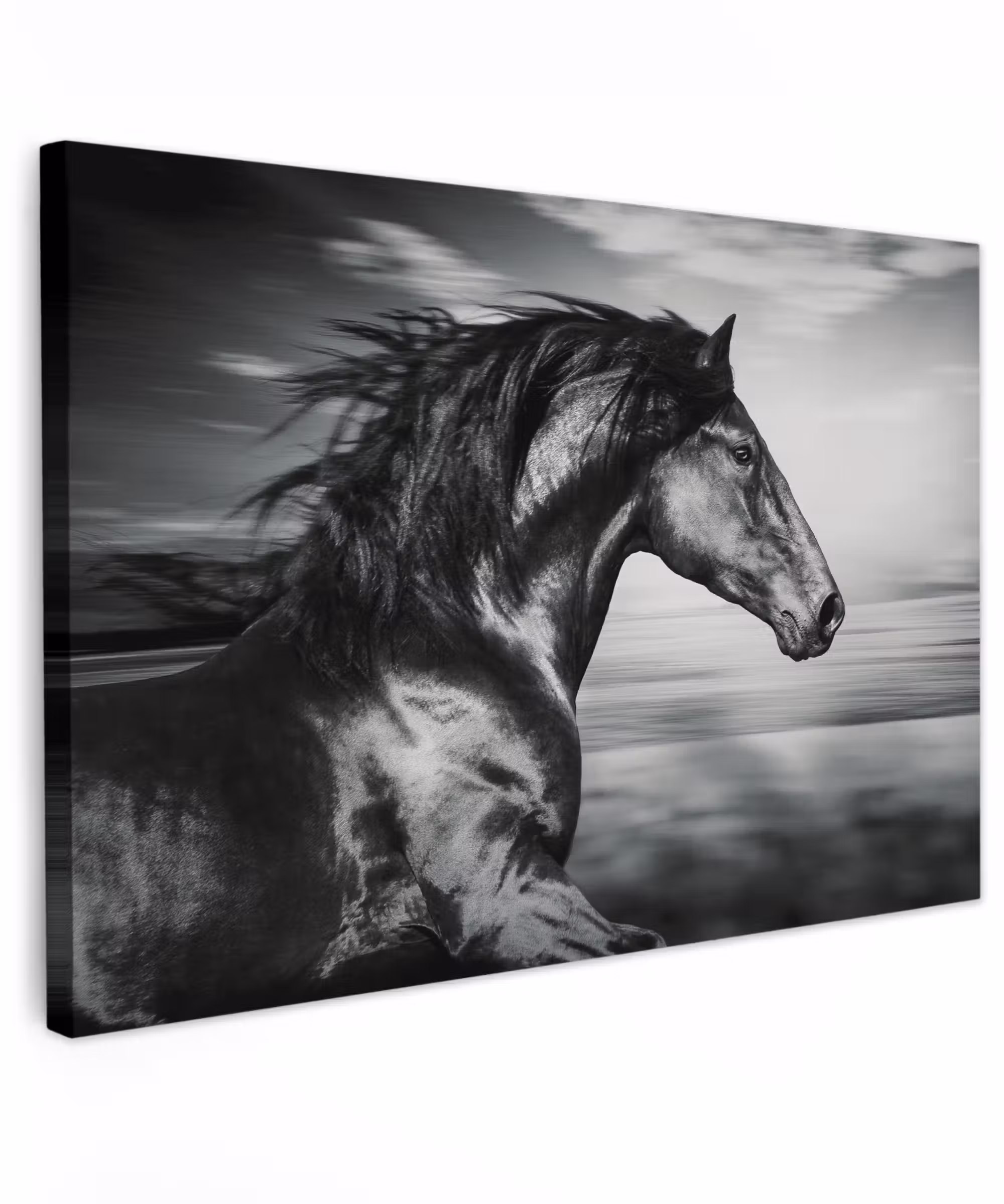 Canvas schilderij - Paard - Dieren - zwart - Wit