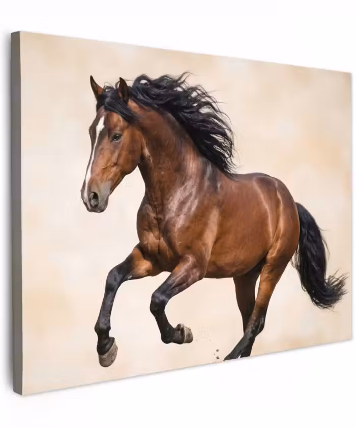 Canvas schilderij - Paard - Galop - Energie