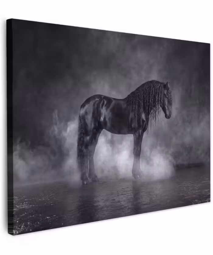 Canvas schilderij - Paard - Magisch - Zwart