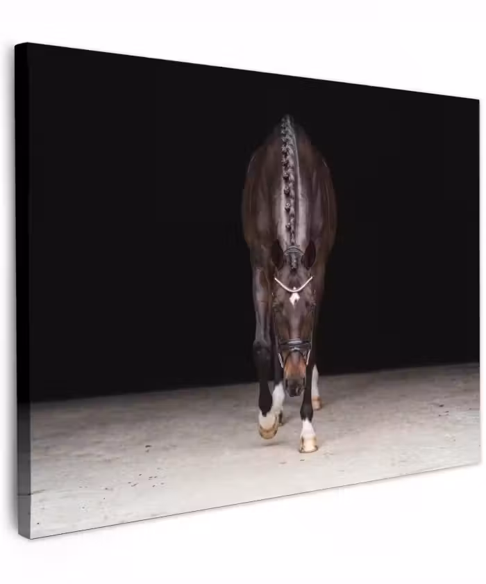 Canvas schilderij - Paard - Modern - Portret