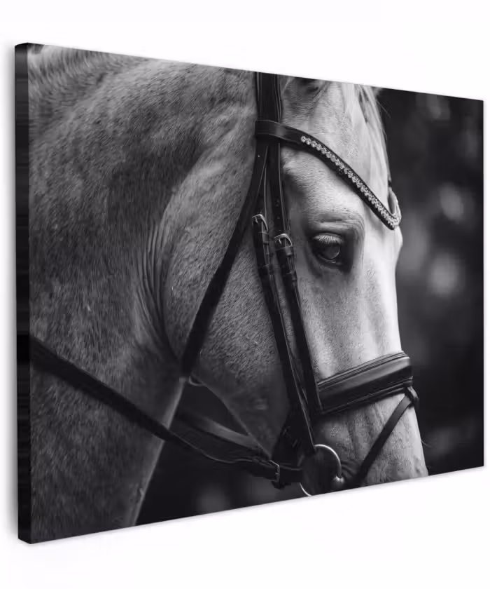 Canvas schilderij - Paard - Schimmel - Portret