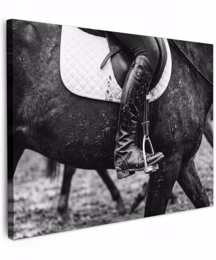 Canvas schilderij - Paard - Sport - Zwart - Wit
