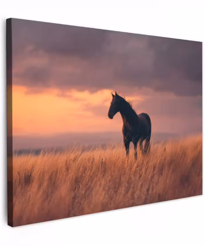 Canvas schilderij - Paard - Wolken - Open veld