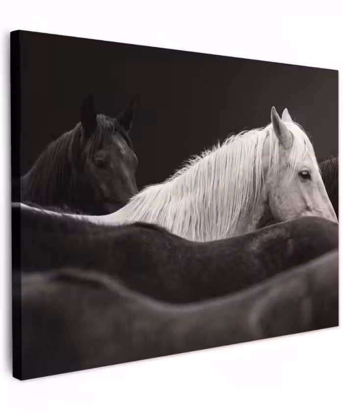 Canvas schilderij - Paarden - Zwart - Wit - Kudde