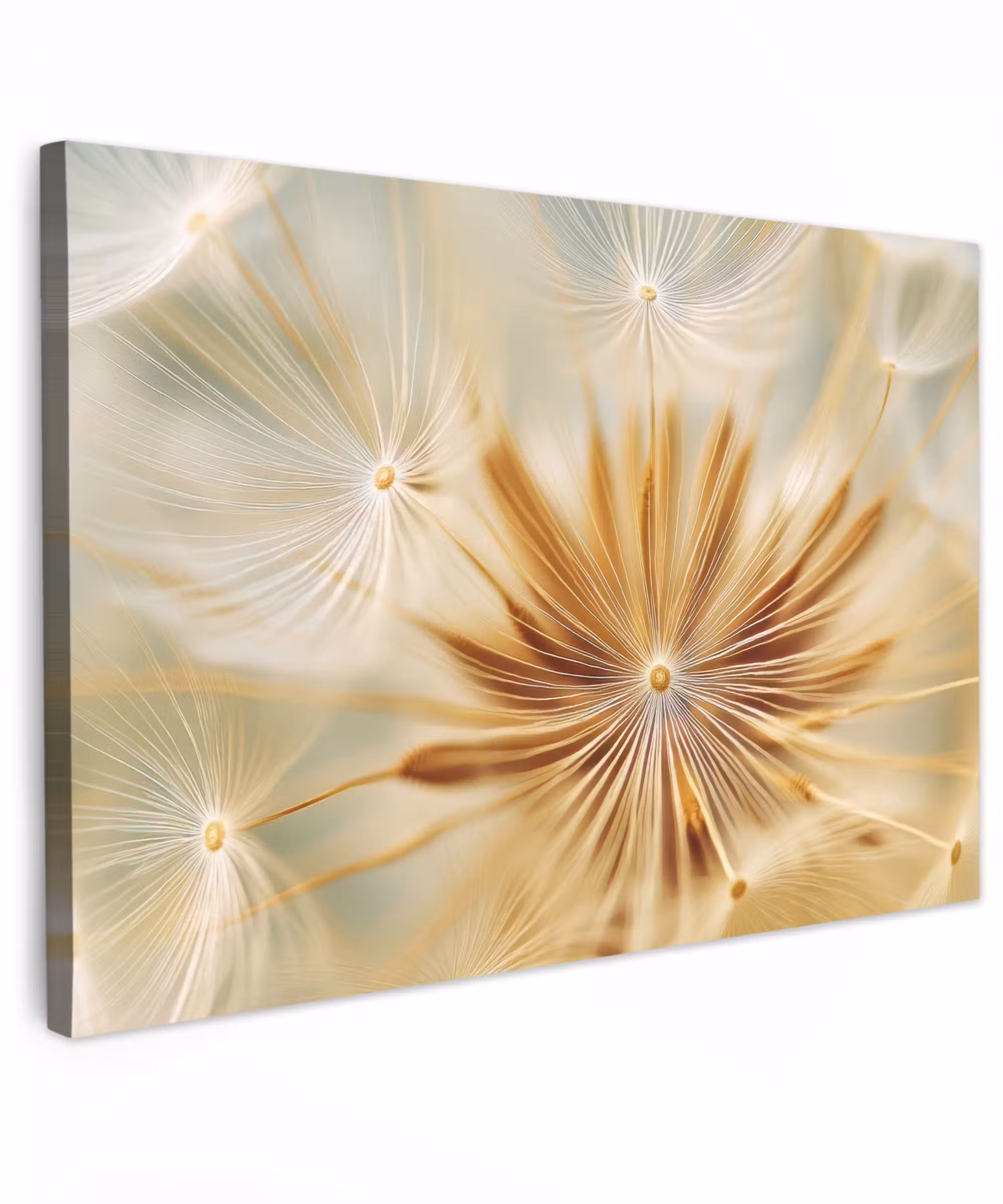 Canvas schilderij - Paardenbloem - Beige - Abstract - Modern - Natuur