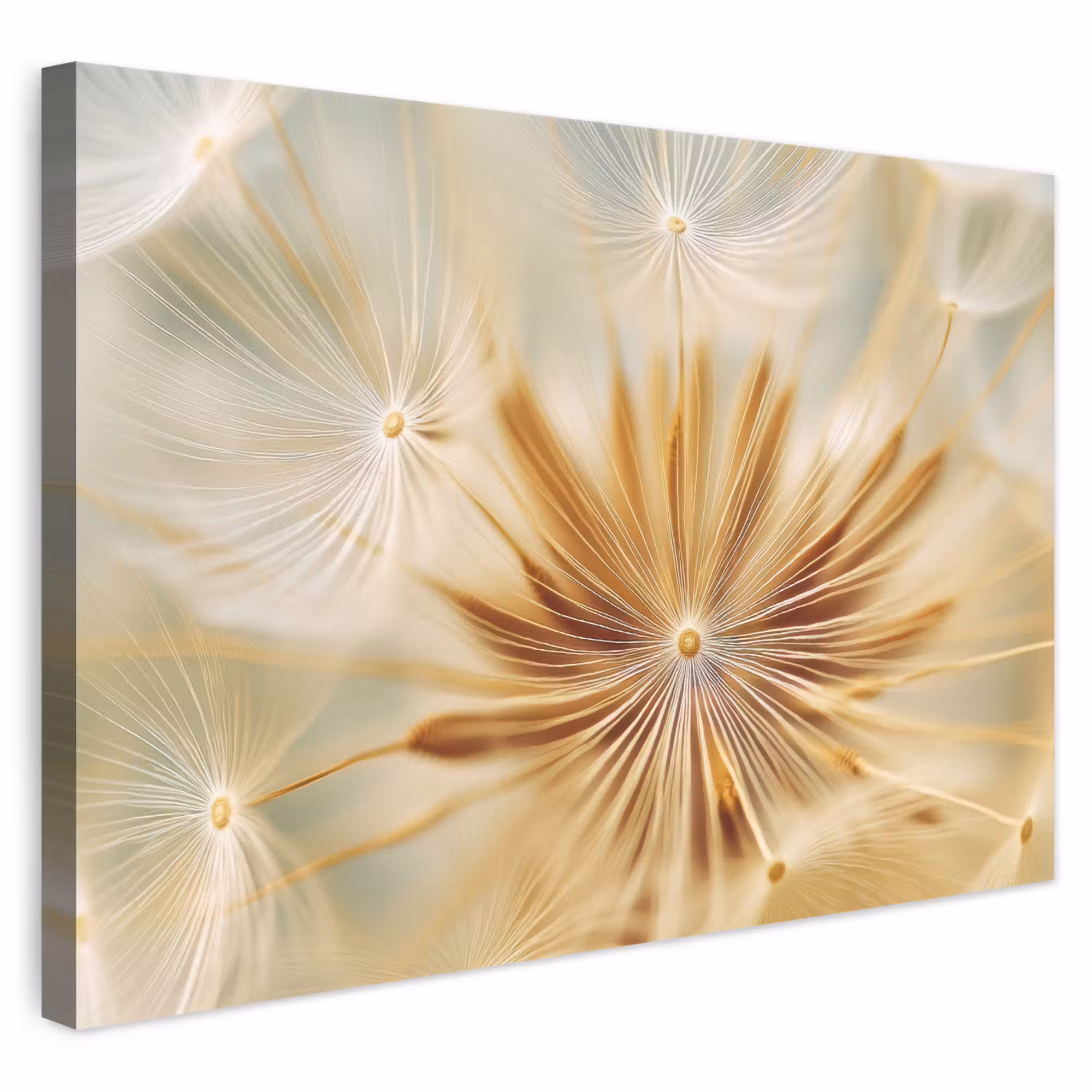 Canvas schilderij - Paardenbloem - Beige - Abstract - Modern - Natuur