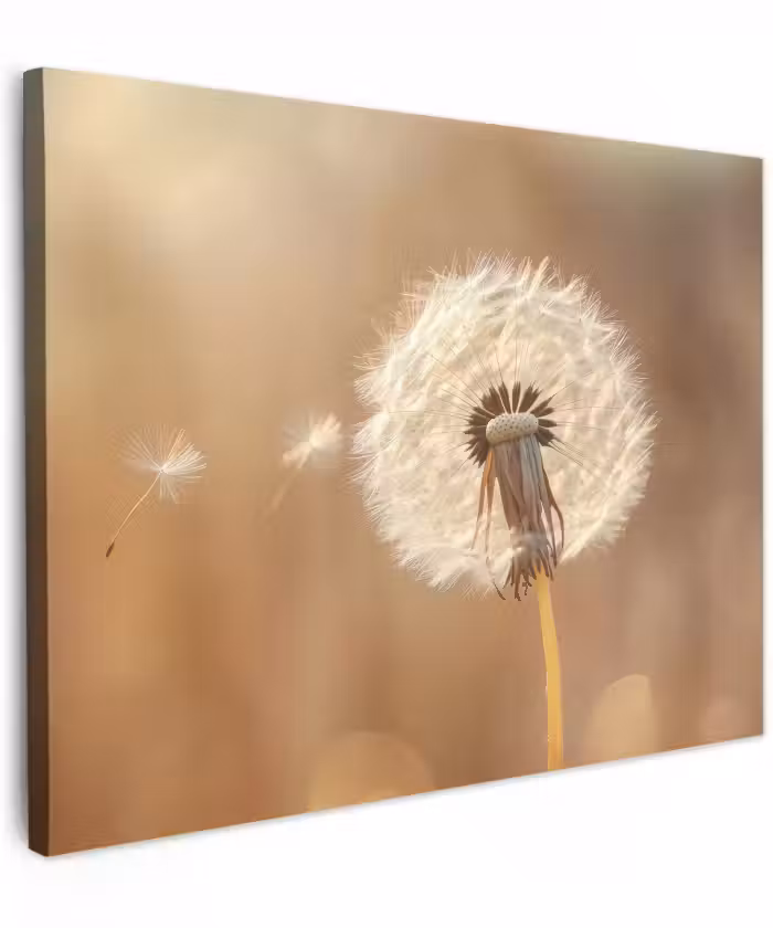 Canvas schilderij - Paardenbloem - Beige - Natuur - Bloem