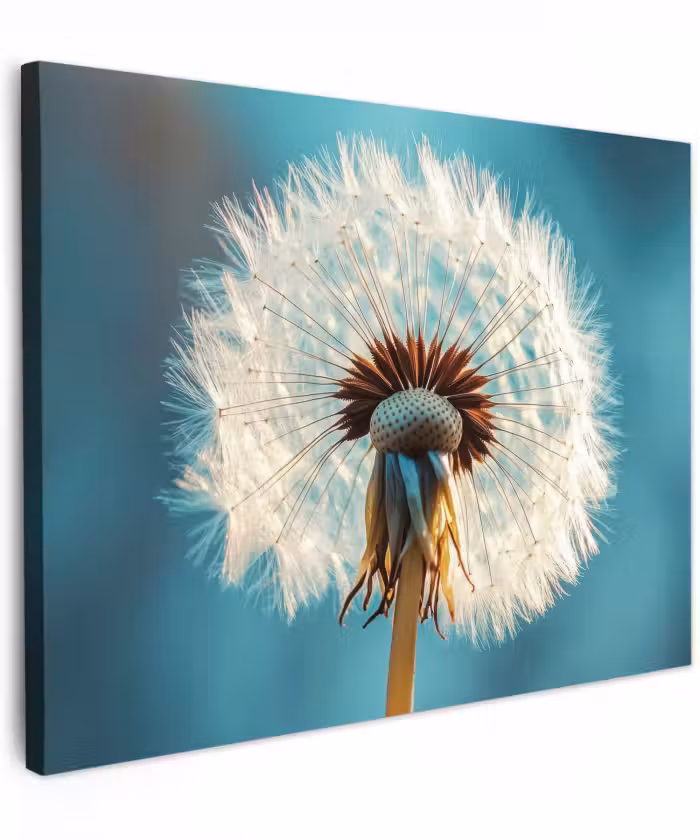 Canvas schilderij - Paardenbloem - Natuur - Bloemen - Blauw