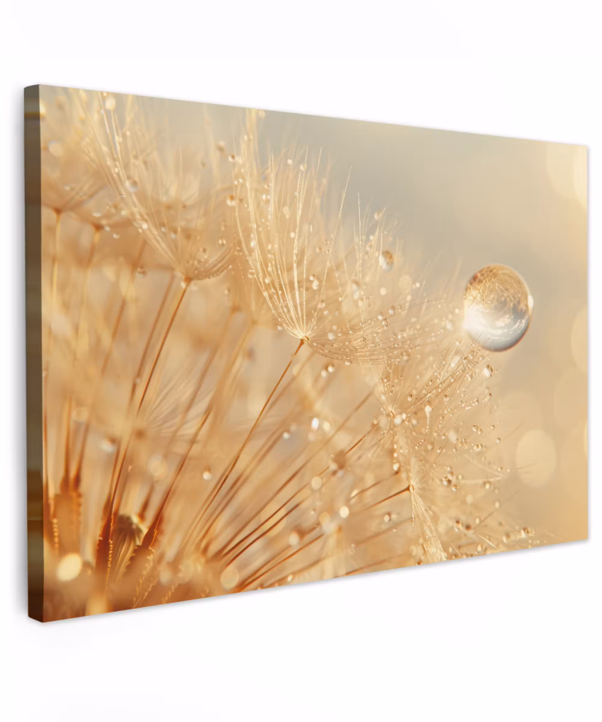 Canvas schilderij - Paardenbloem - Water - Natuur - Planten - Modern