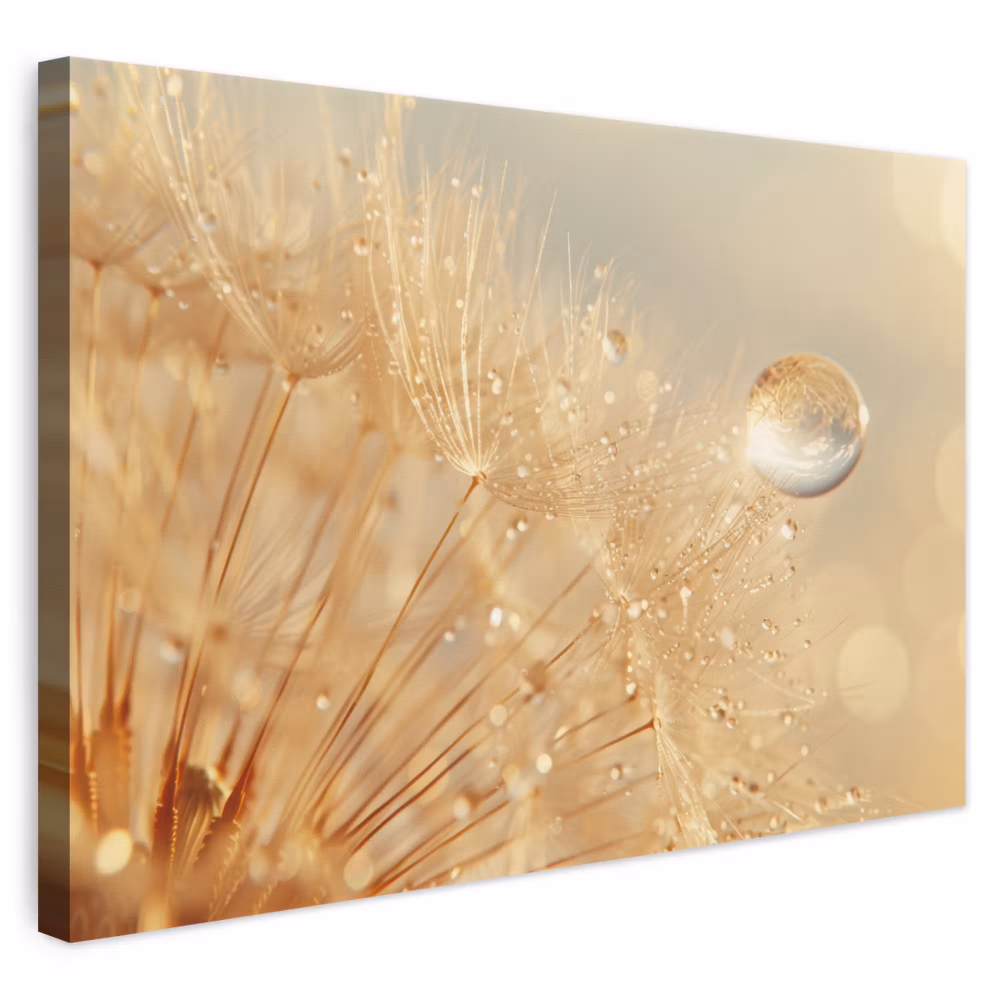 Canvas schilderij - Paardenbloem - Water - Natuur - Planten - Modern