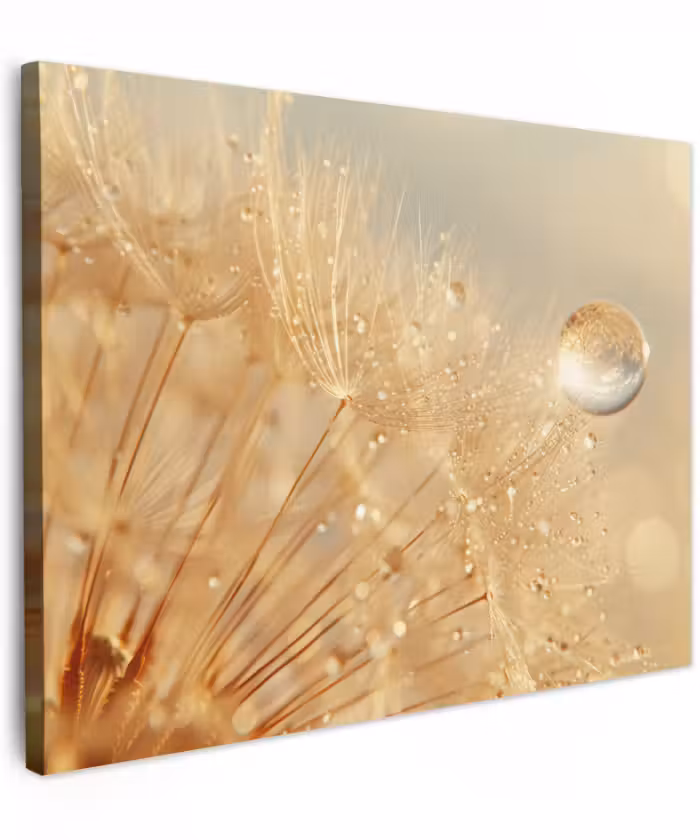 Canvas schilderij - Paardenbloem - Water - Natuur - Planten - Modern