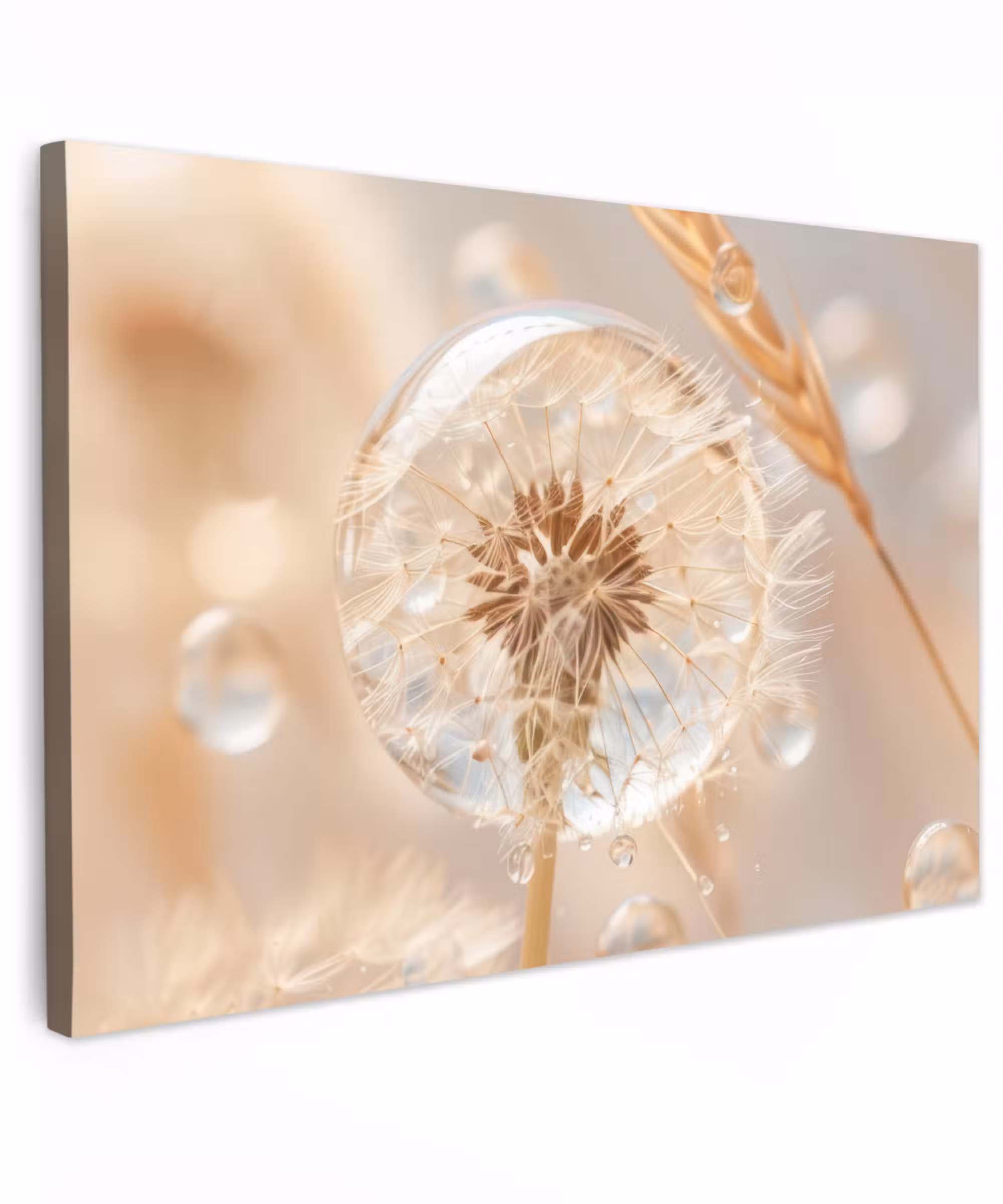 Canvas schilderij - Paardenbloem - Water - Natuur - Stilleven - Modern