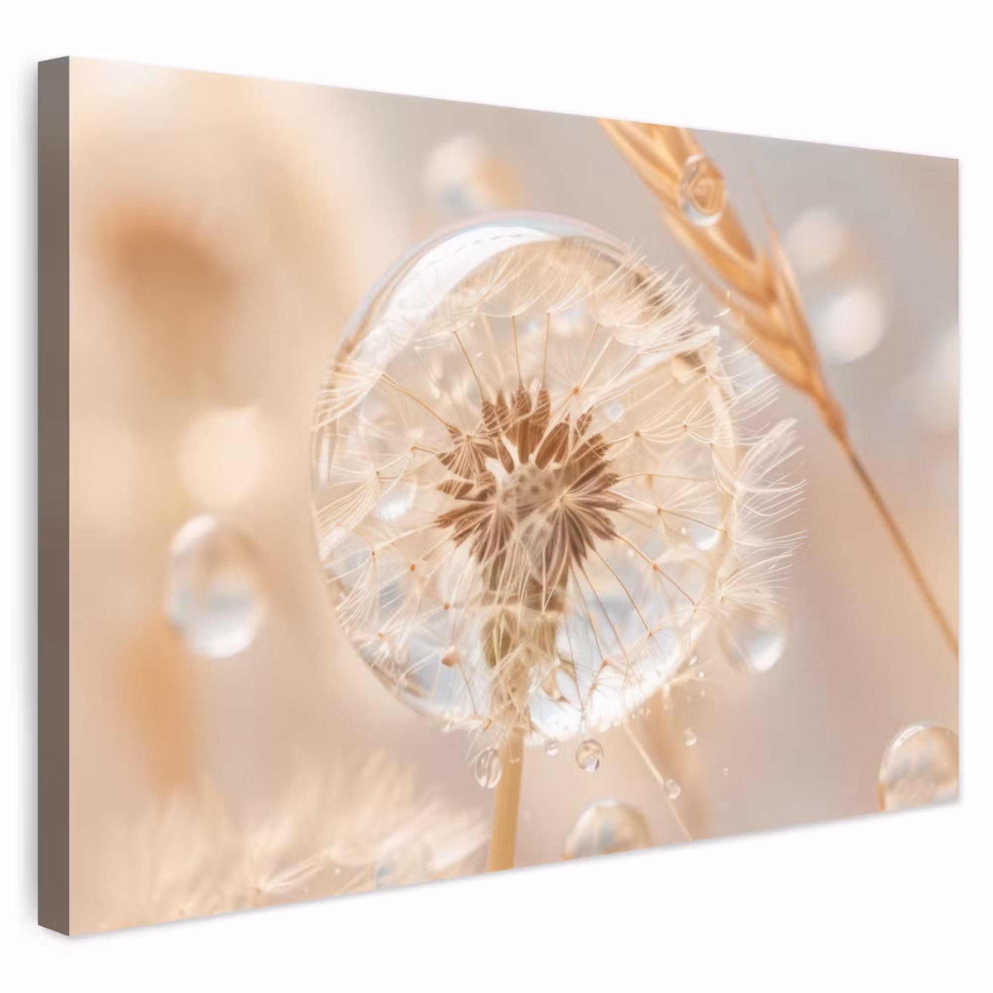 Canvas schilderij - Paardenbloem - Water - Natuur - Stilleven - Modern