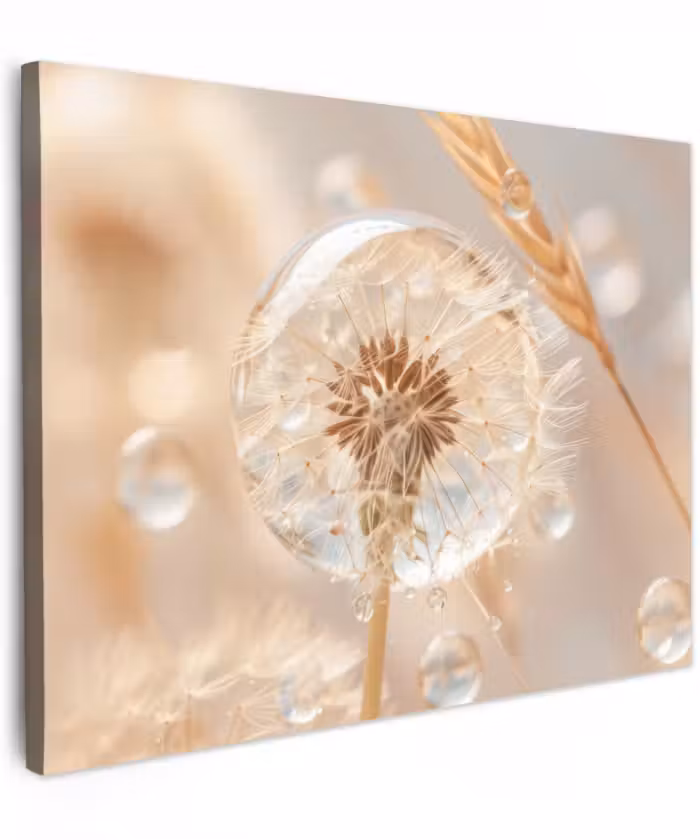 Canvas schilderij - Paardenbloem - Water - Natuur - Stilleven - Modern