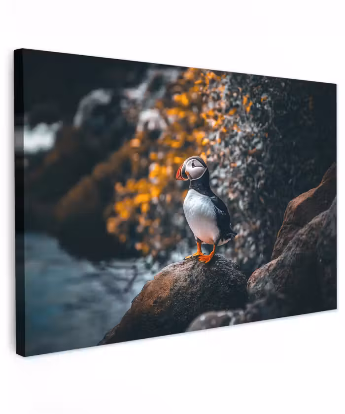 Canvas schilderij - Papegaai - Vogel - Rots - Wit