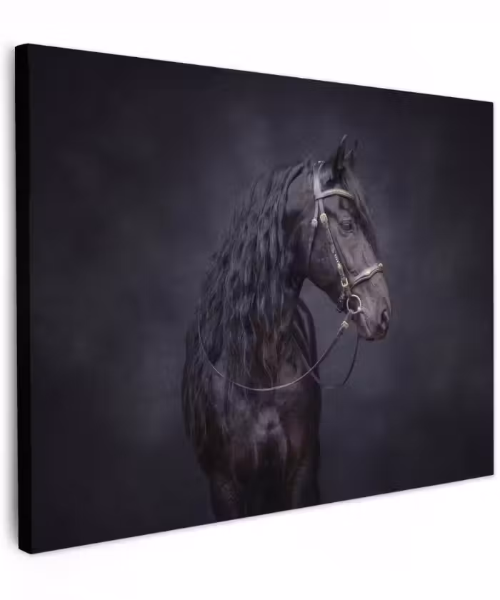 Canvas schilderij - Portret - Paard - Donker