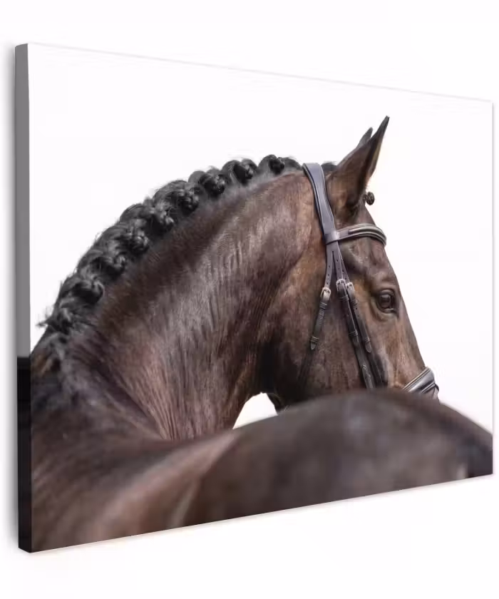 Canvas schilderij - Portret - Paard - Elegant
