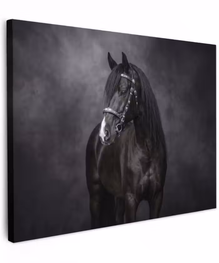 Canvas schilderij - Portret - Paard - Zwart