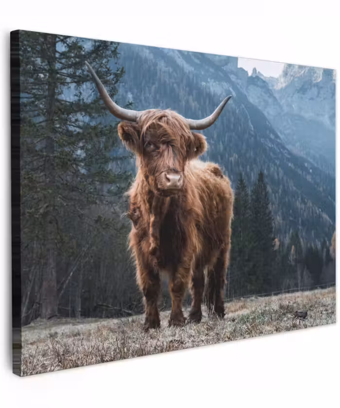 Canvas schilderij - Schottische Highlander - Berg - Landschaft - Bäume - Kuh - Natur