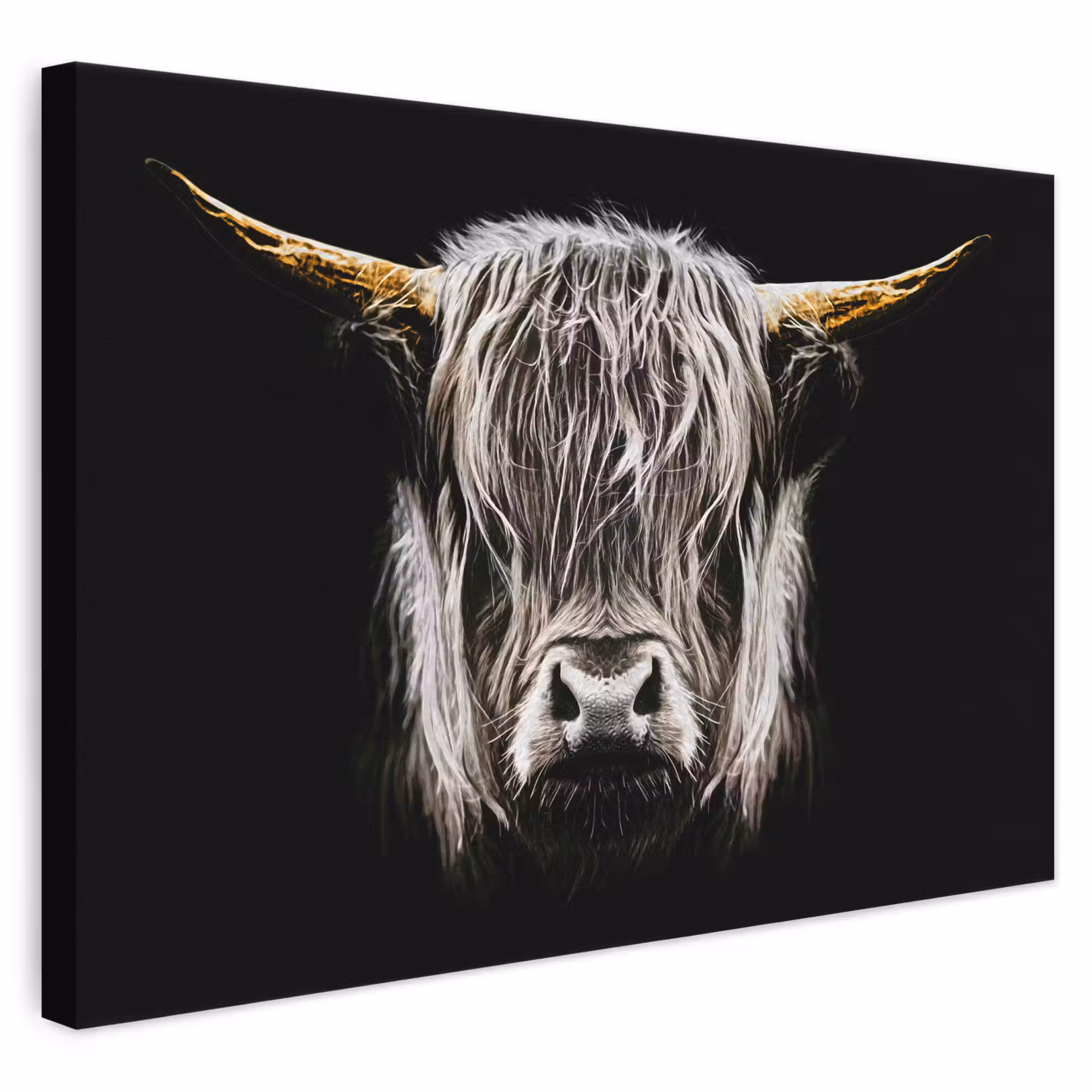 Canvas schilderij - Schotse hooglander - Goud - Hoorns - Zwart wit - Koe - Dieren