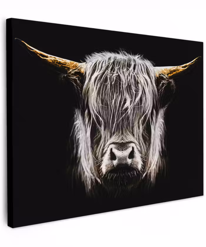 Canvas schilderij - Schotse hooglander - Goud - Hoorns - Zwart wit - Koe - Dieren