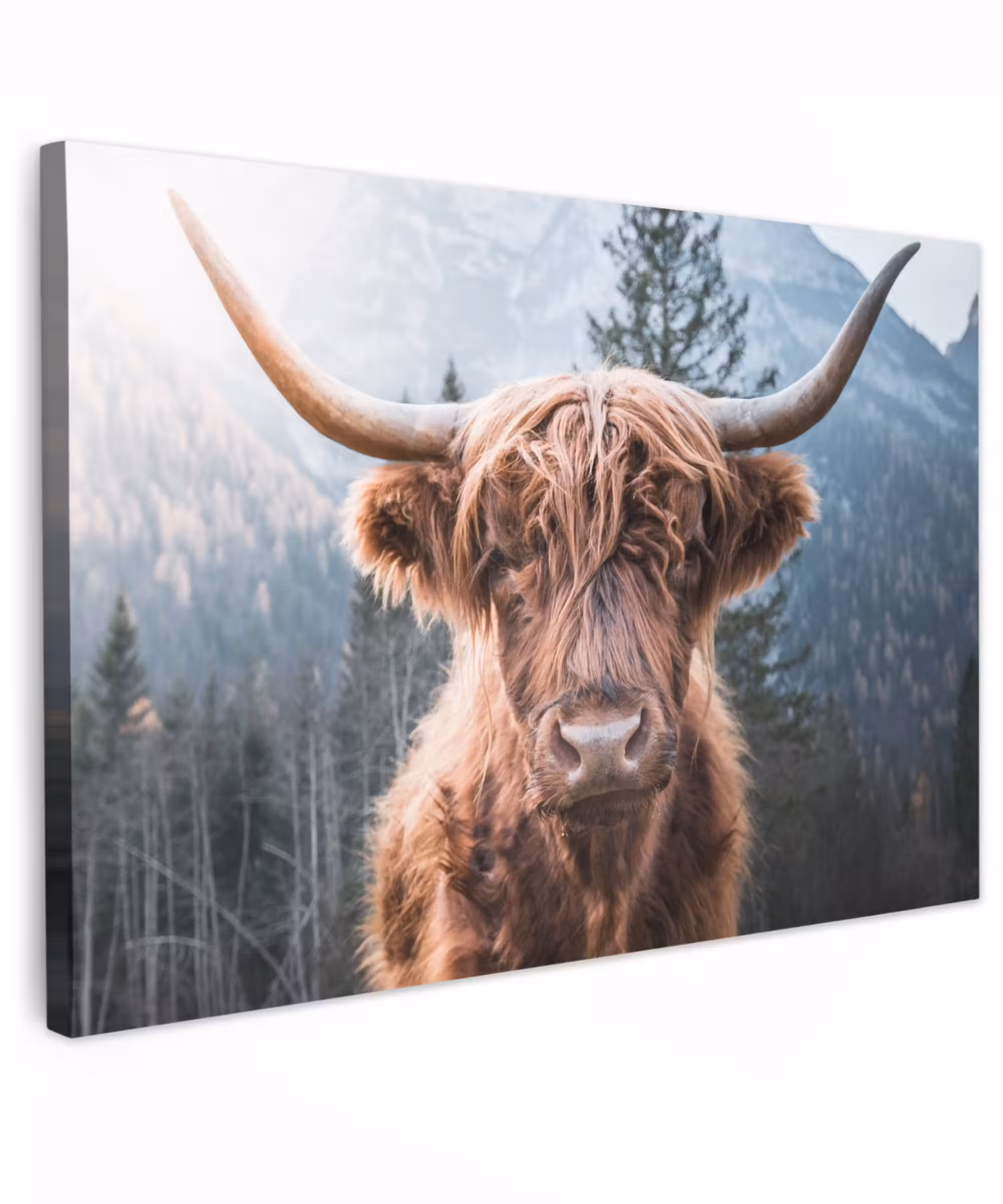 Canvas schilderij - Schotse hooglander - Koe - Dieren - Berg - Natuur